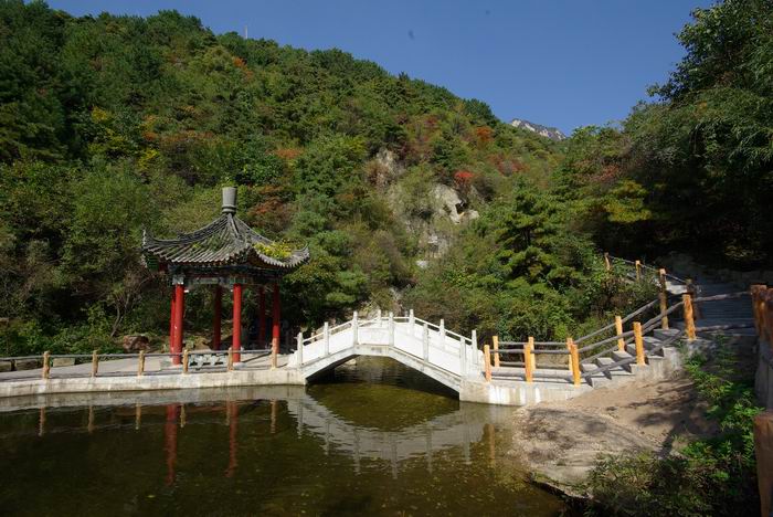 又到飞絮季！2025杨柳絮盛飞预警地图来了 六字口诀全方位防护