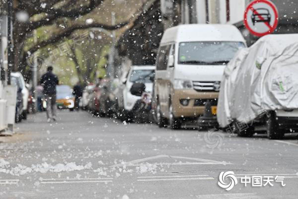 又到飞絮季！2025杨柳絮盛飞预警地图来了 六字口诀全方位防护