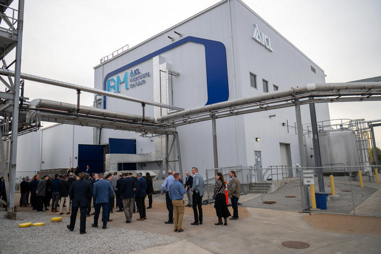 又到飞絮季！2025杨柳絮盛飞预警地图来了 六字口诀全方位防护