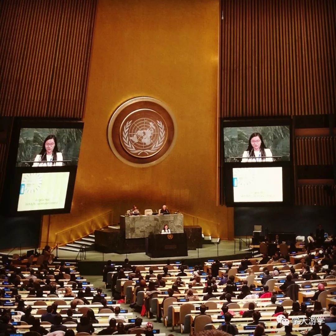 花26万元就能去联合国演讲？揭秘买卖联合国证件背后的“生意经”