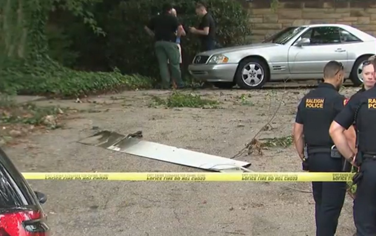 又到飞絮季！2025杨柳絮盛飞预警地图来了 六字口诀全方位防护